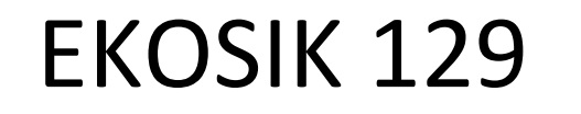 Ekosik 129 logo2.jpg